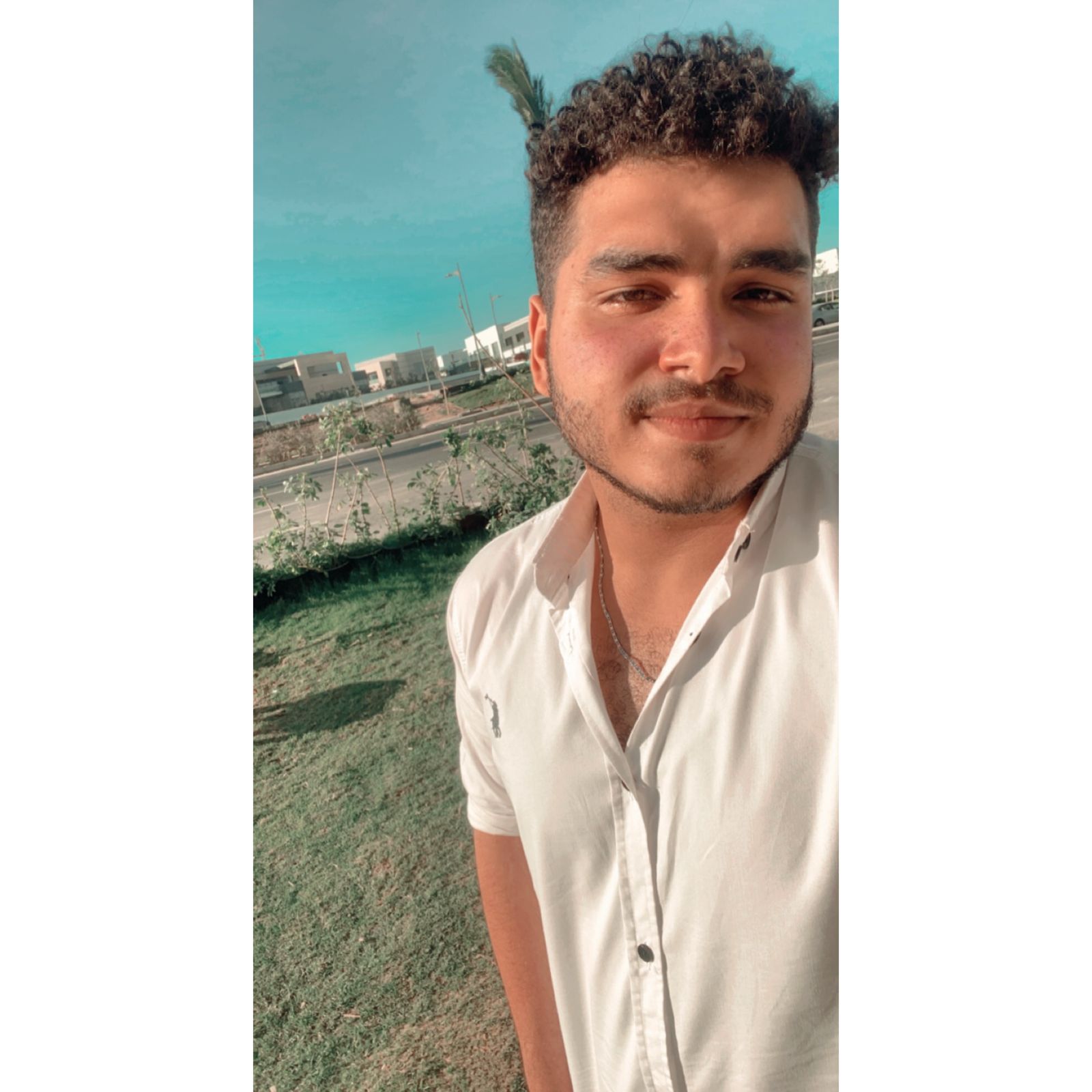 أحمد سليم - مطور Full Stack